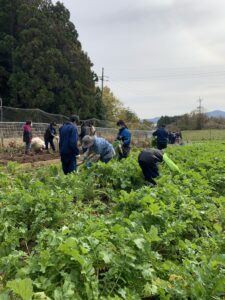 Agricultural Work Experience in MINMISANRIKU