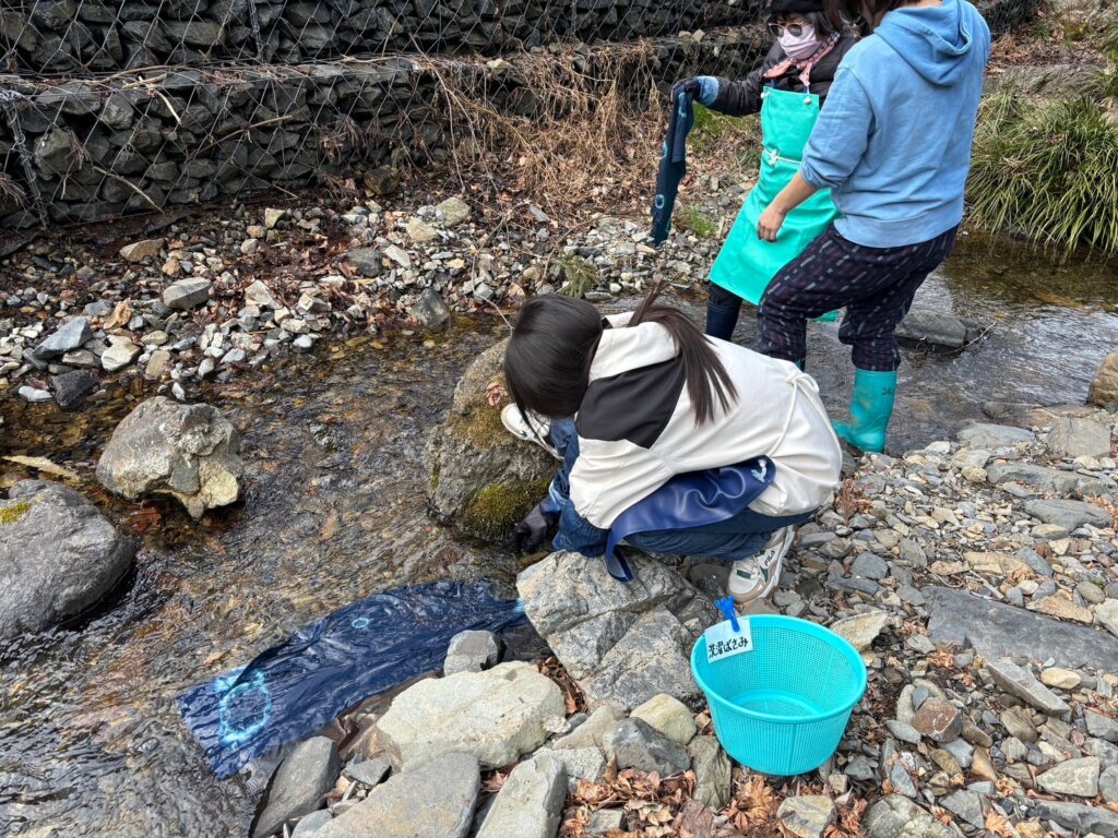 Rinsing the newly dyed indigo fabric in a crystal-clear natural stream to reveal the deep blue color