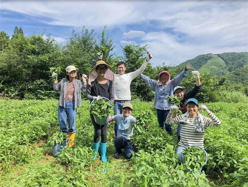 Hands-on farming experience in Minamisanriku
