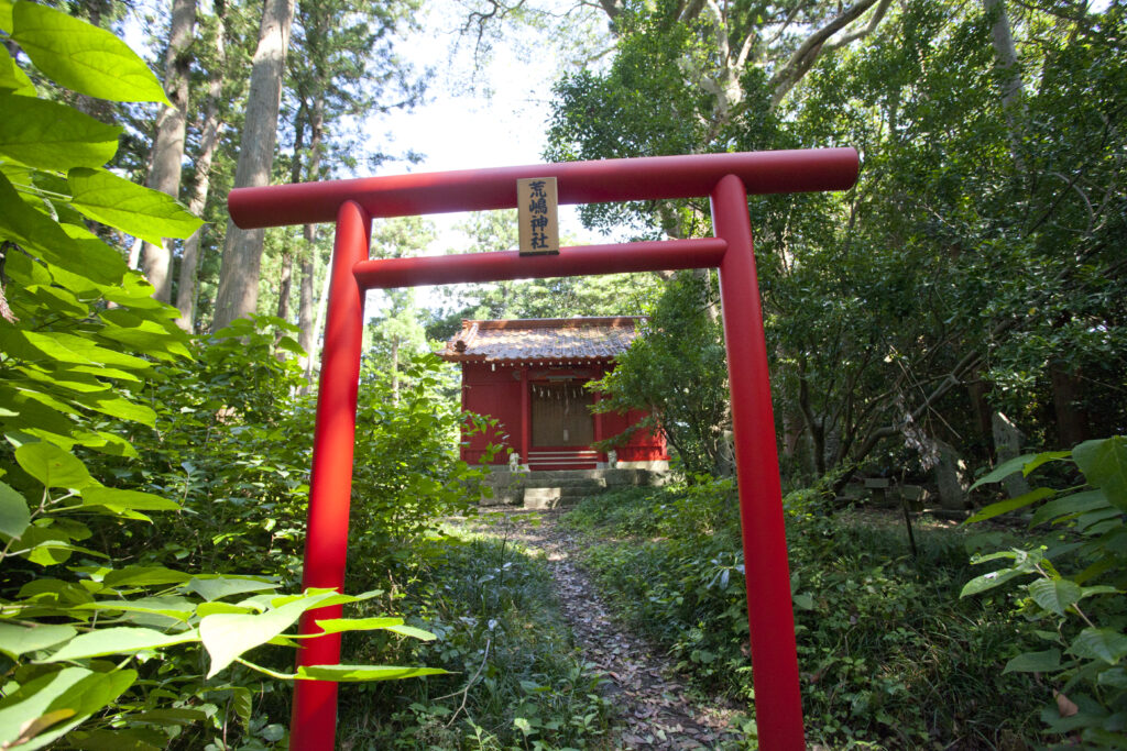 A tranquil shrine and traditional torii gate standing peacefully amidst the rich, lush nature of Arashima Island