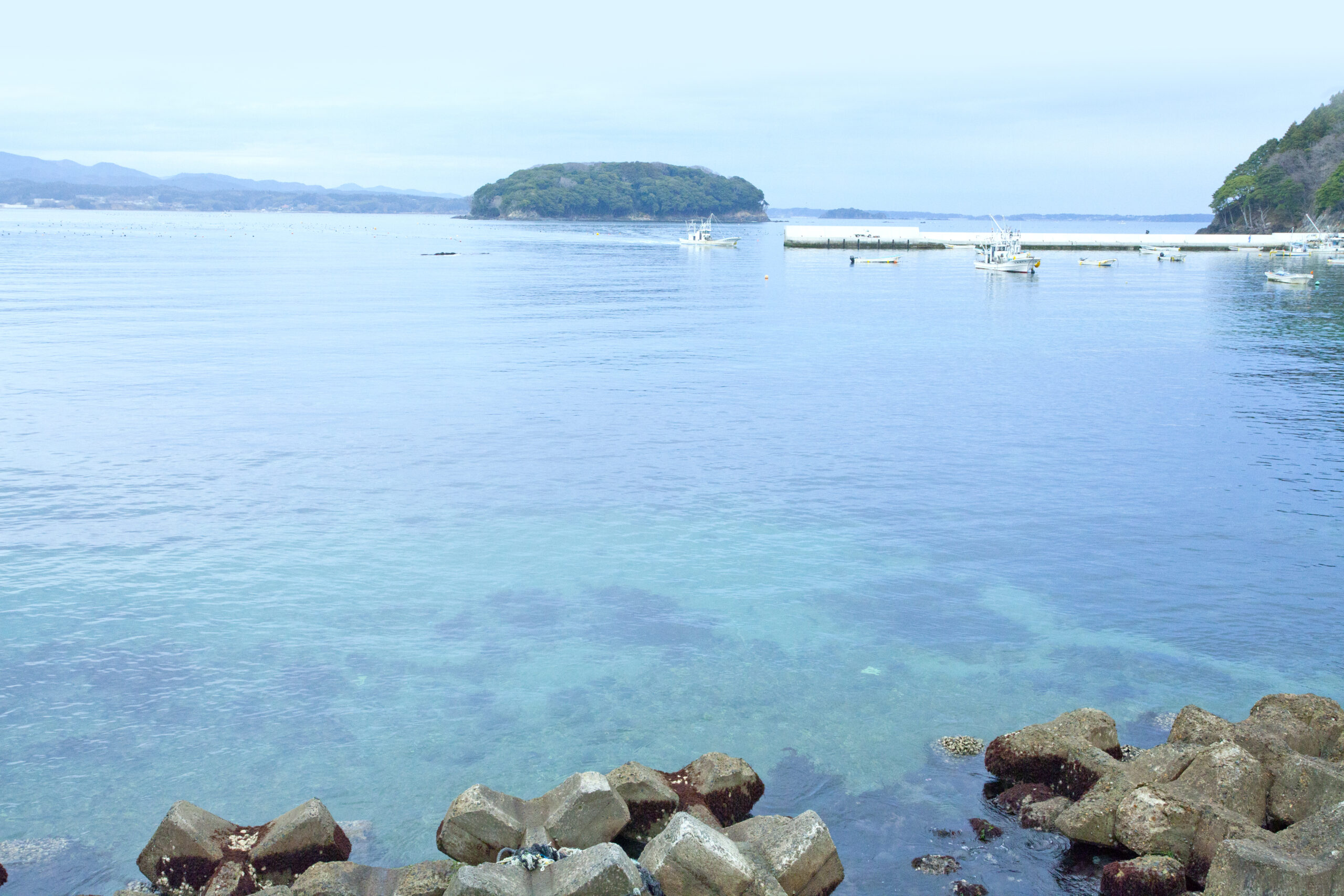 A scenic view of Shizugawa Bay featuring Tsubakishima island and a local fishing boat