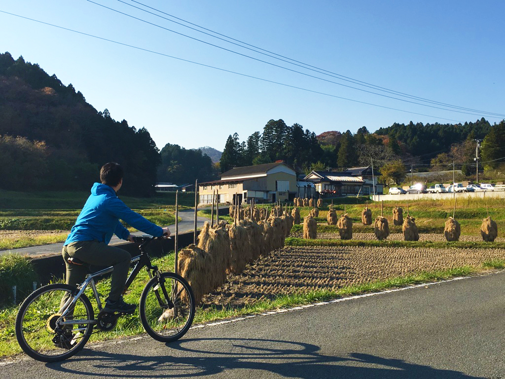 Enjoying a peaceful cycling tour through the beautiful and lush rural landscapes of Minamisanriku