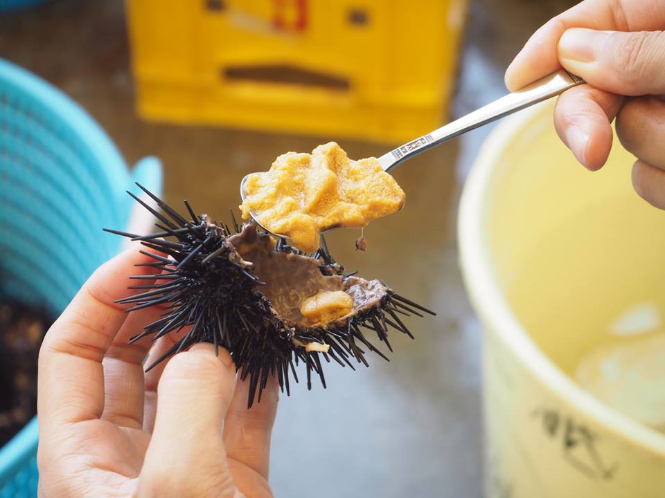 Fresh sea urchin (Uni) from Minamisanriku