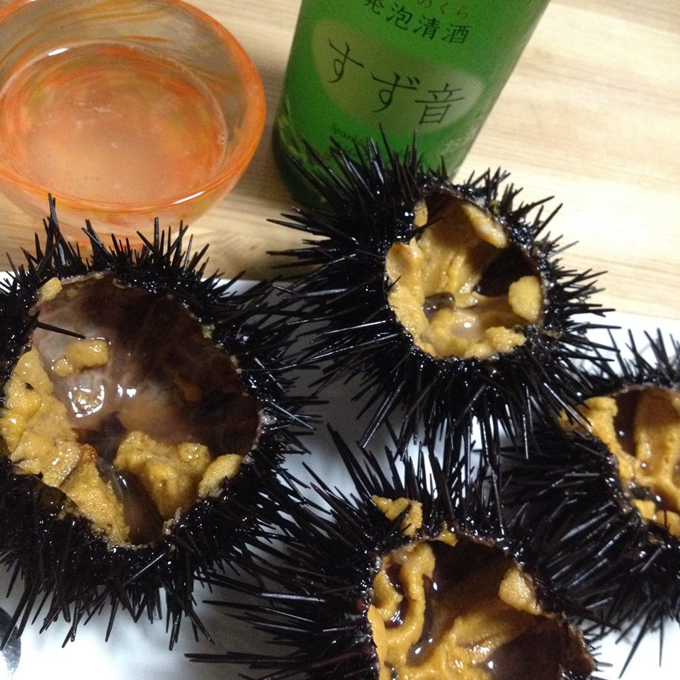 Fresh sea urchin (Uni) from Minamisanriku