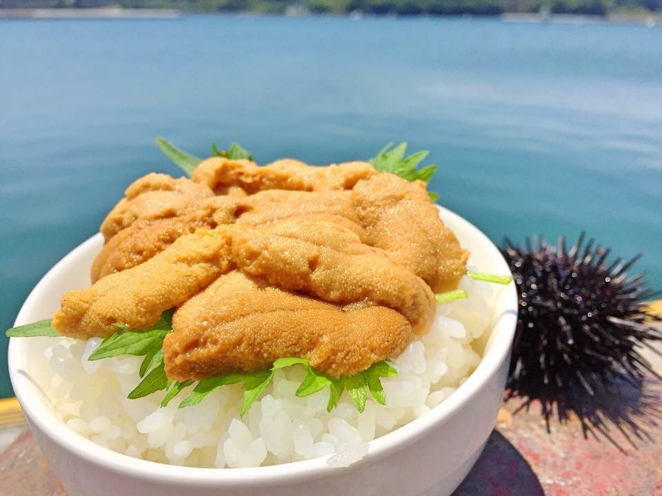 Fresh sea urchin (Uni) from Minamisanriku