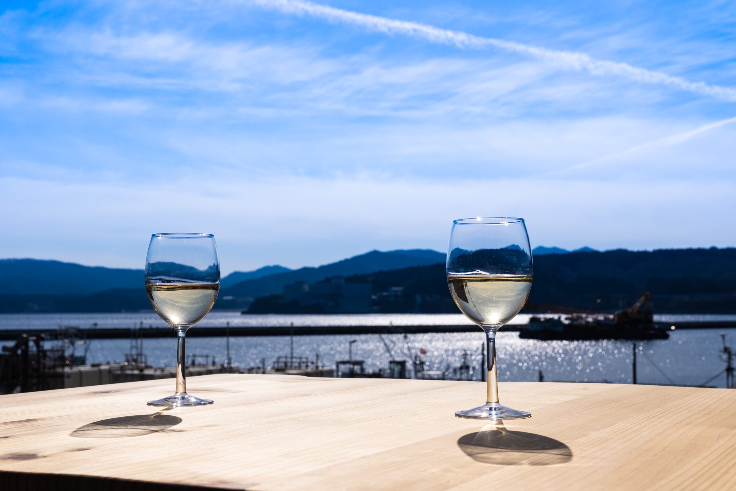 Enjoying a relaxing glass of local wine with a beautiful scenic view of the ocean