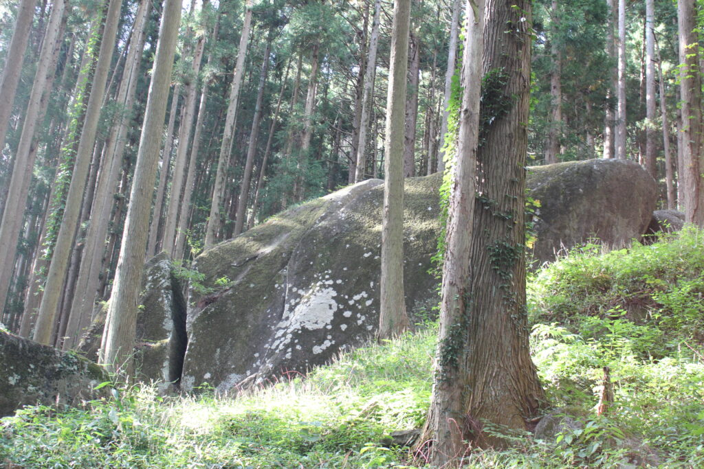 A massive sacred granite megalith resting peacefully in the lush cedar forest of Iriya