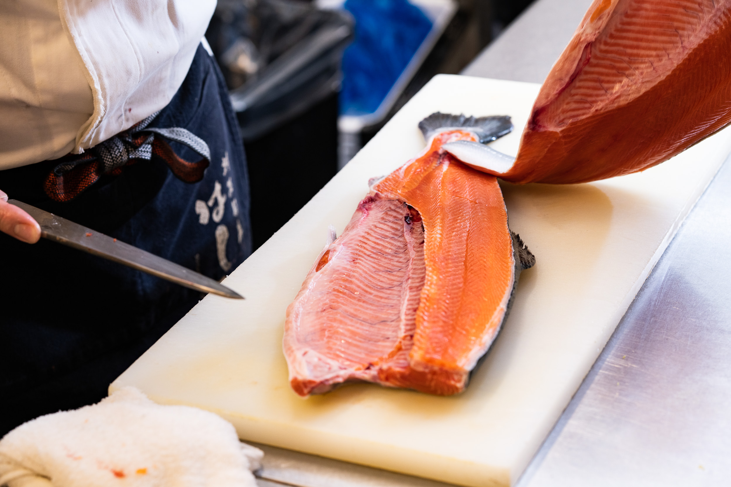 Silver salmon from Minamisanriku