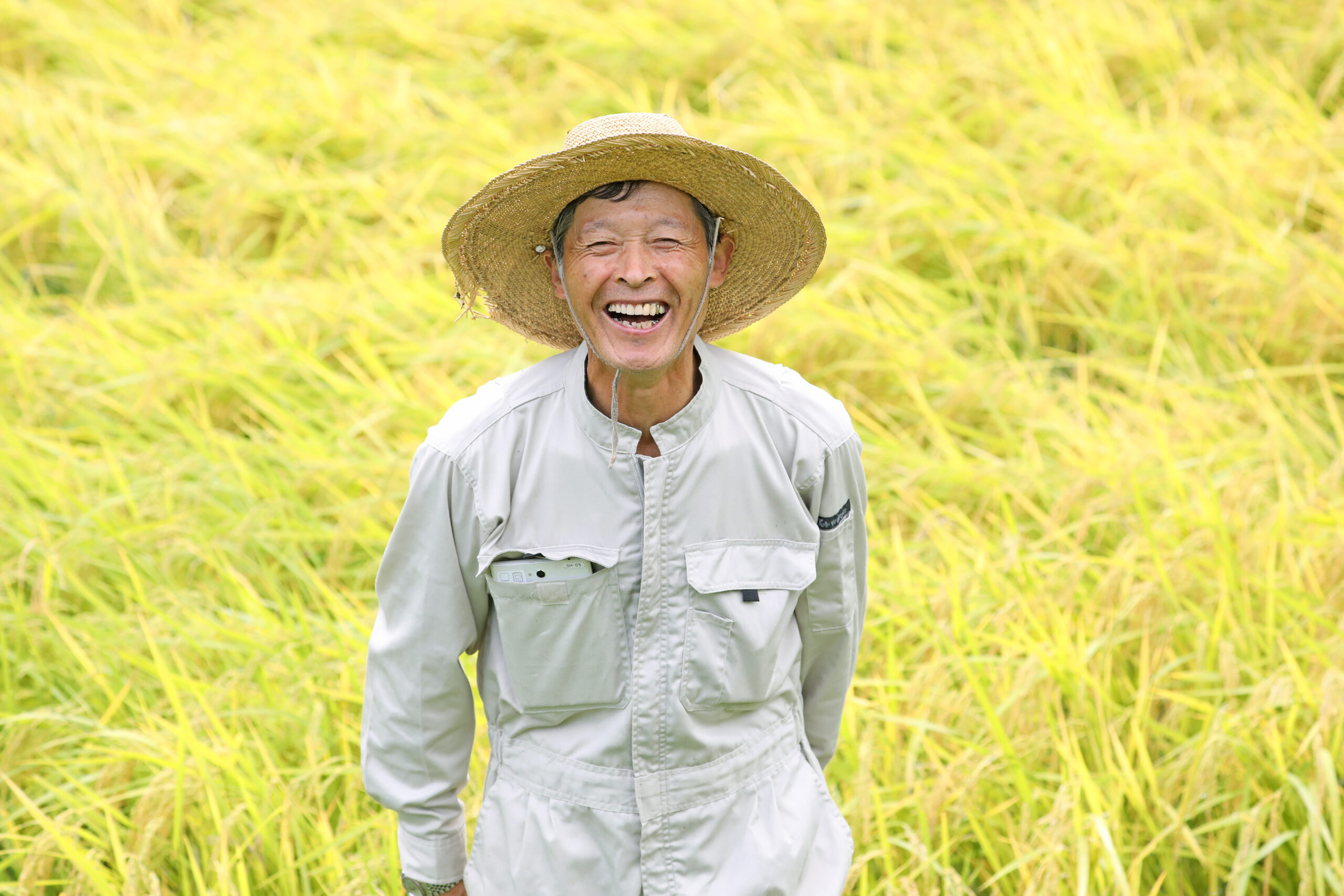 Rice farmers in Minamisanriku
