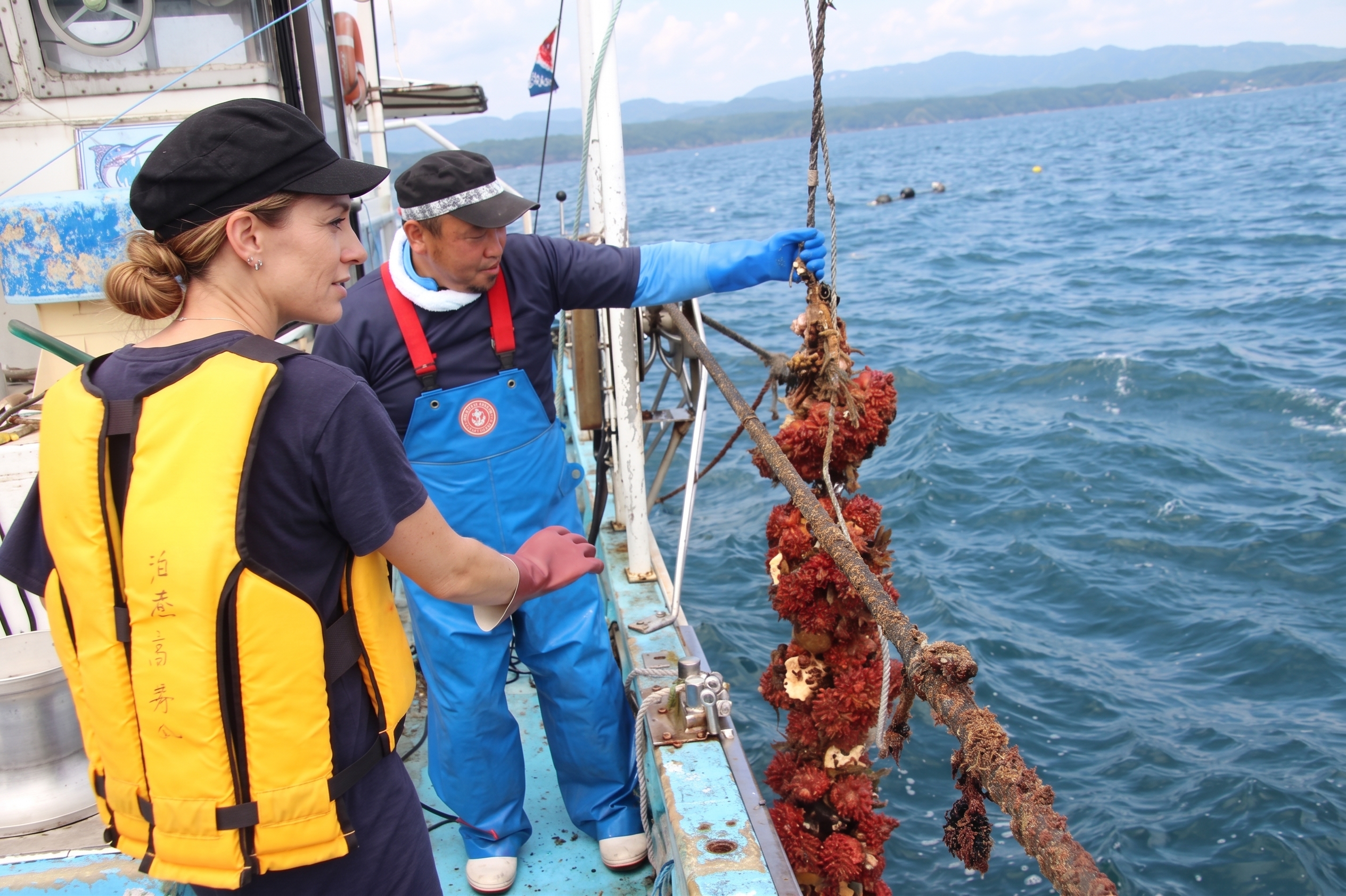 A local fisherman explaining traditional sea pineapple (Hoya) aquaculture at the fishing ground in Shizugawa Bay