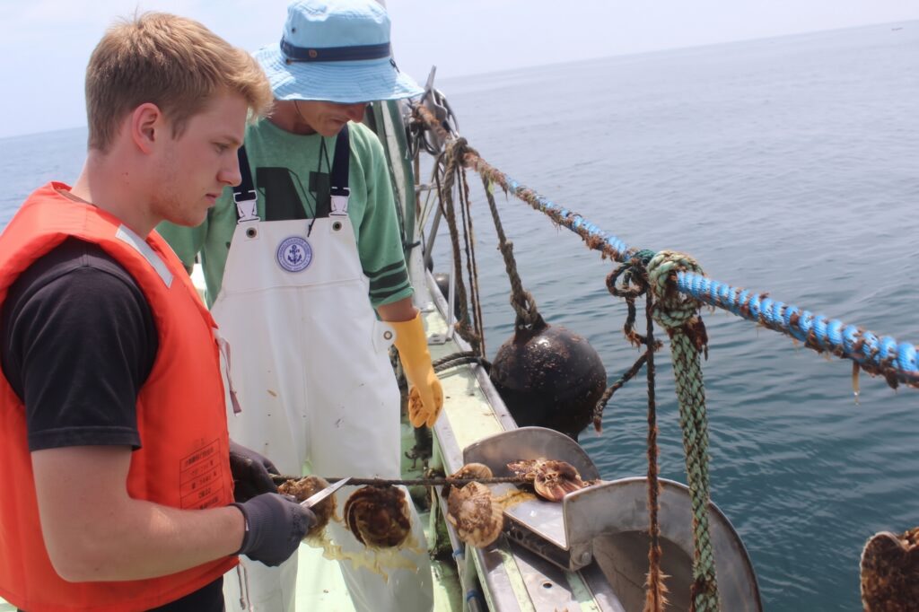 Tour participants experiencing the thrill of pulling up fresh scallops from the aquaculture rafts