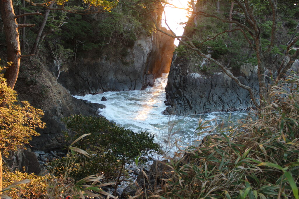 Golden sunbeams streaming through the pine-covered cliffs of Cape Kamiwarisaki, beautifully illuminating the crashing waves below