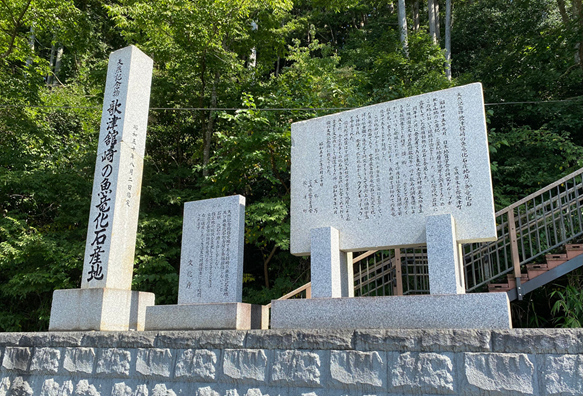 A stone monument marking the discovery site of the Utatsusaurus, one of the world's oldest marine reptiles