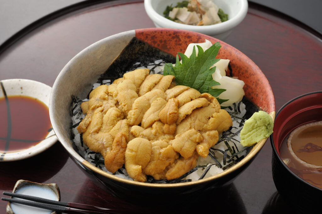 Premium Kaisendon topped with a generous selection of fresh local seafood