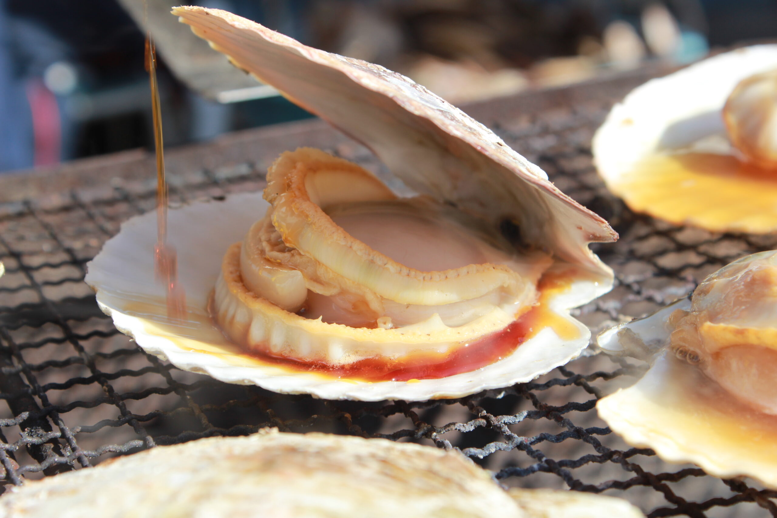 Fresh scallops from Minamisanriku