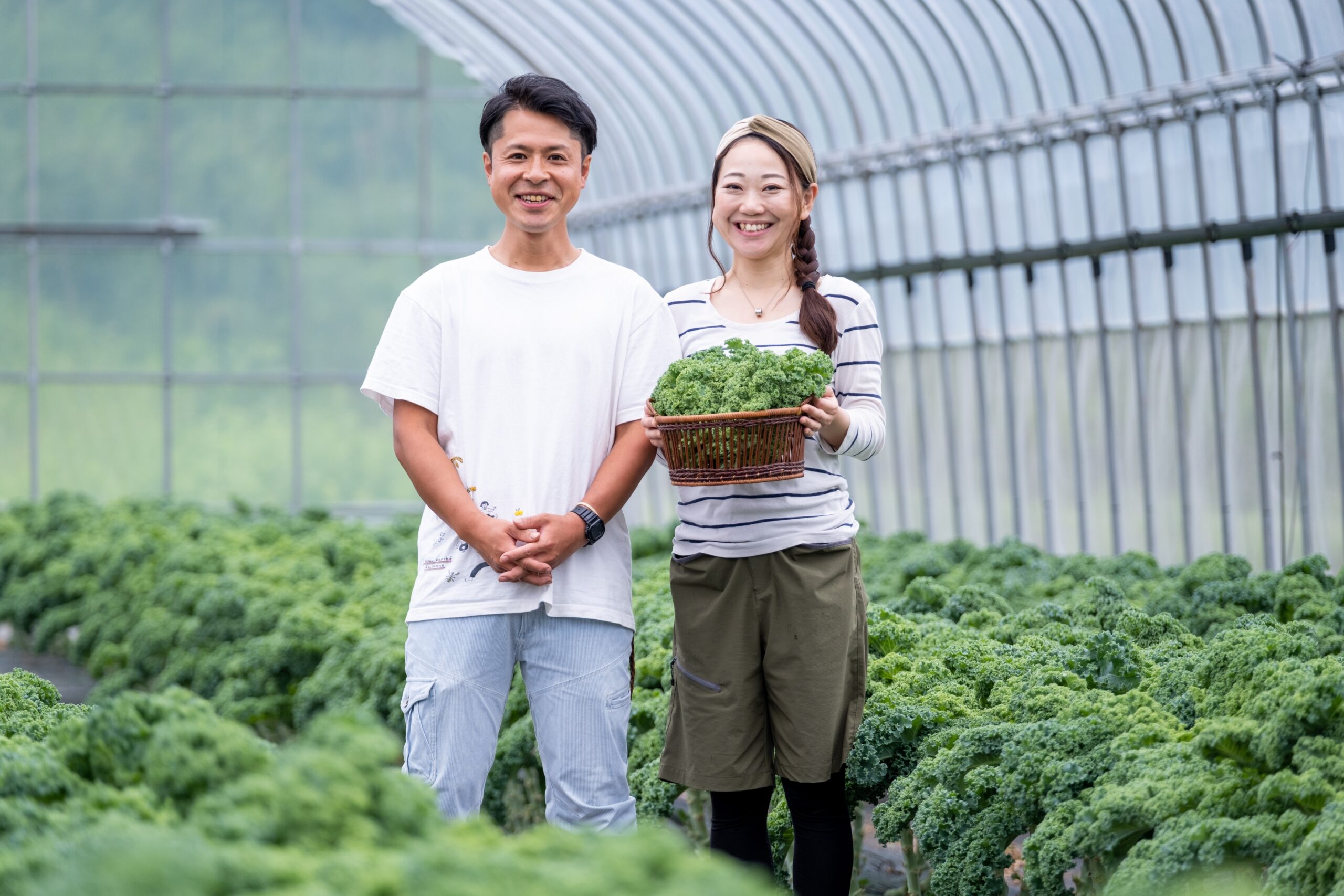 The husband-and-wife owners growing kale in Minamisanriku