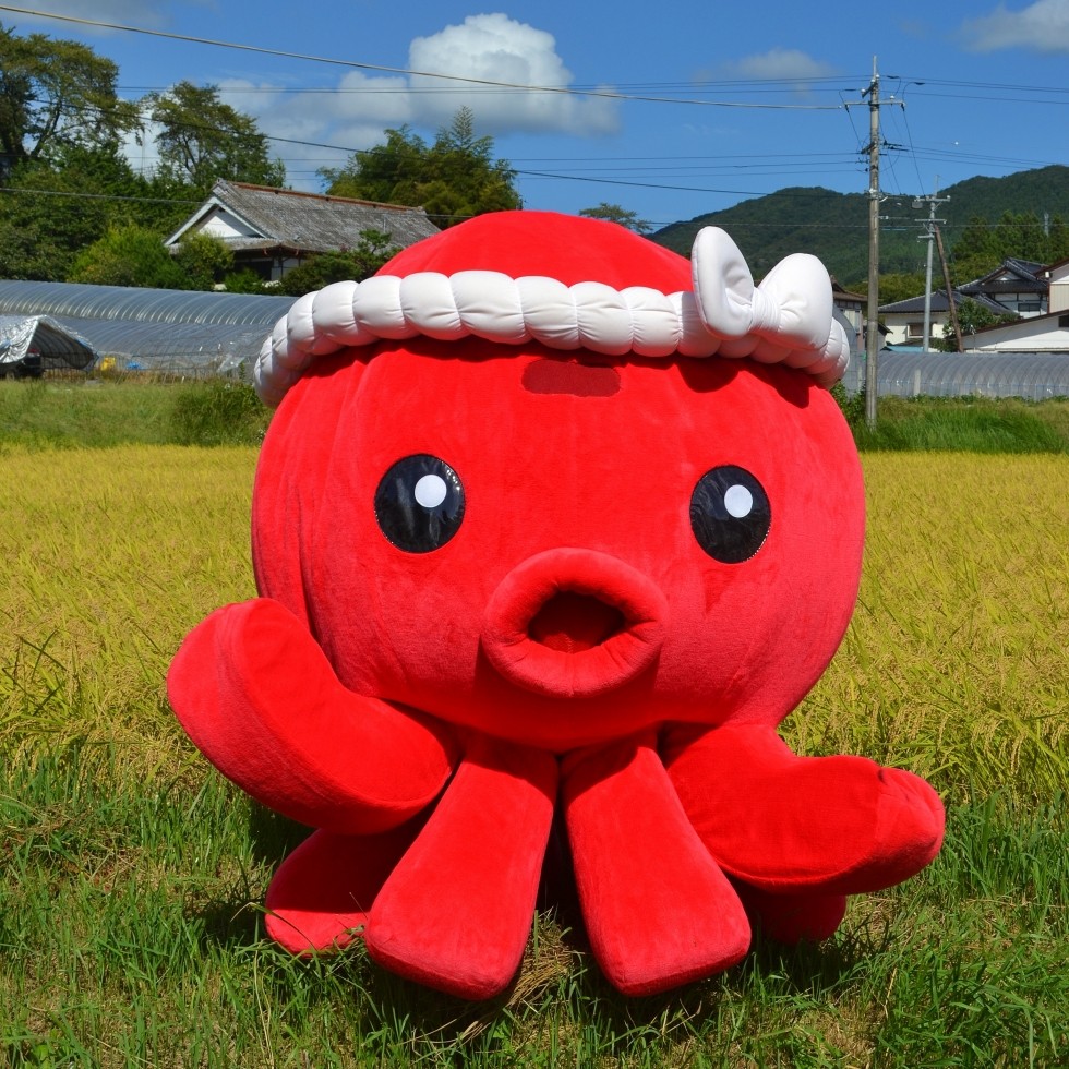 等身大オクトパス君