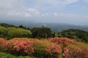 DSC_3436_R