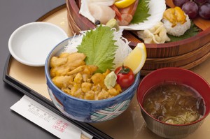 竜巳やイメージ03