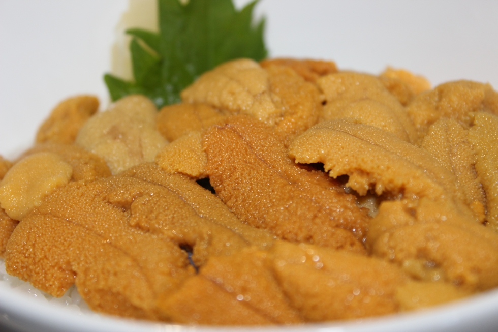 弁慶鮨 ウニ丼（通年提供）