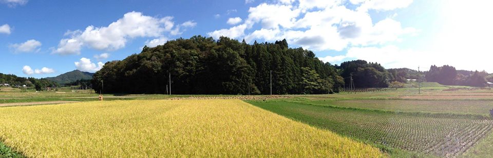 南三陸おらほの酒作りプロジェクト始動のお知らせ