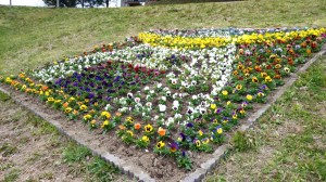 20140422撮影(斜め)