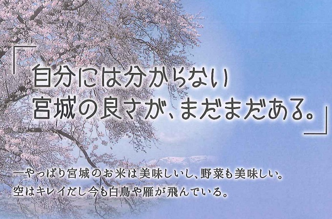 ウェルカムみやぎ観光ガイドブック’14配布開始！