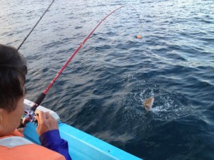 10503_467332439986153_1547030950_n