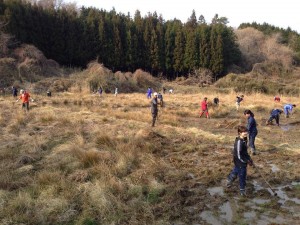 イベントとして田おこしや田植えを行いました