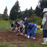 民泊家庭で農作業のお手伝い