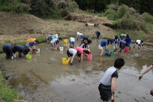 手作業での田んぼ作業は予想以上に大変!!