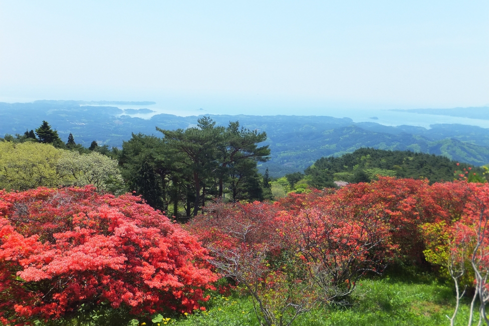 つつじ満開の田束山ウォーキング募集開始のお知らせ(JR東日本小さな旅)
