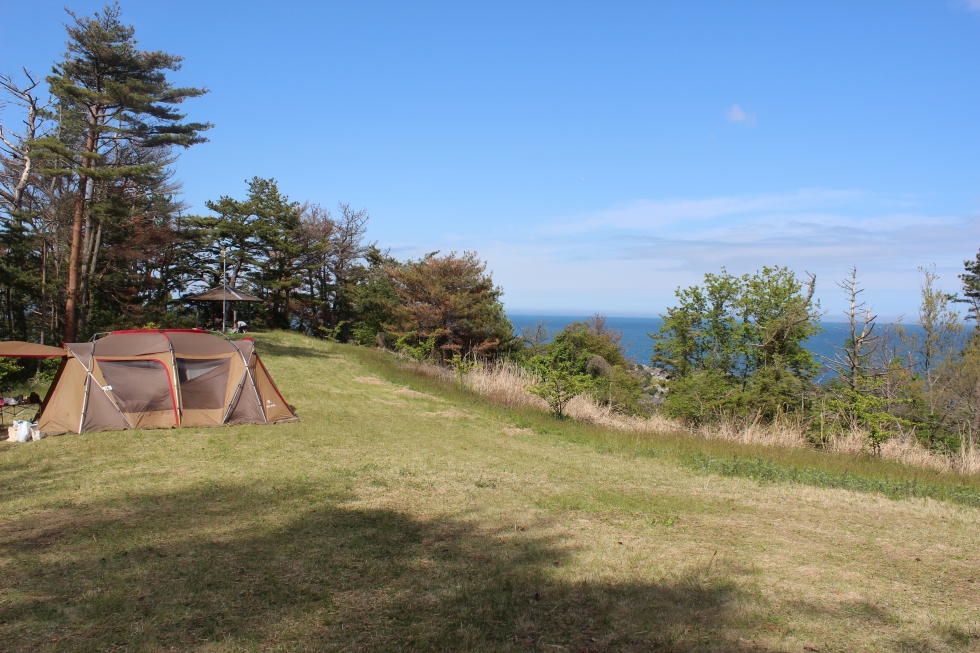 青い海と緑の松の絶景『神割崎キャンプ場』