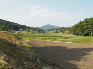 P1010009