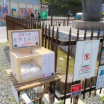 モアイ像隣のモアイみくじ