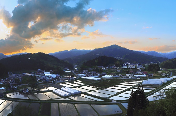初夏の里山ナイトハイク~そうだ!入谷へホタルを見に行こう!~