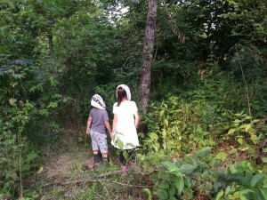 カブトがいるか真剣に探す