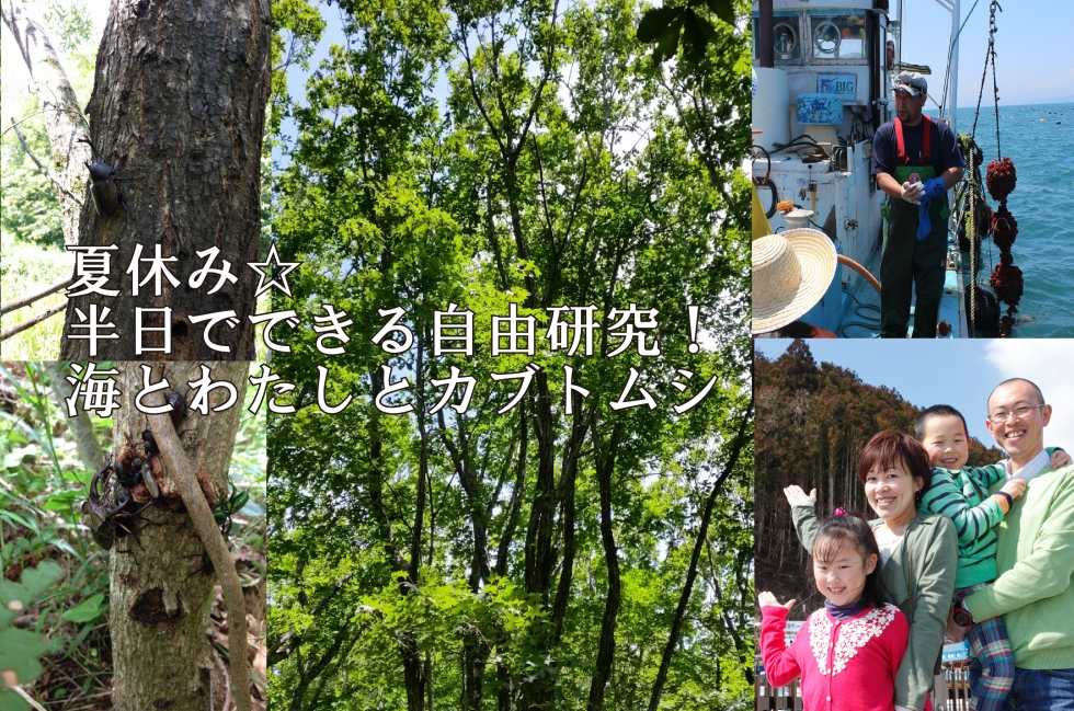 夏休み☆半日でできる自由研究「海とわたしとカブトムシ」
