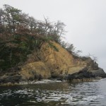 漁師のゆめ伝説～歌津の浜を丸ごと体験！～