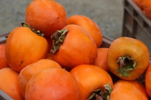 63bee60ccf3a1b09c06bd10ee613aeec_s