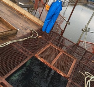 12205073_607663322714283_960415155_n