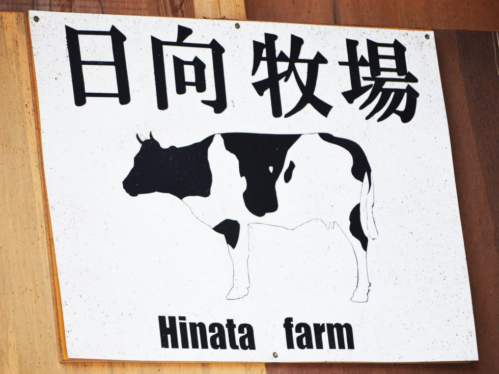 【日向牧場】
