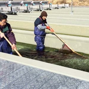 写真 25.2.2016, 13 34 08