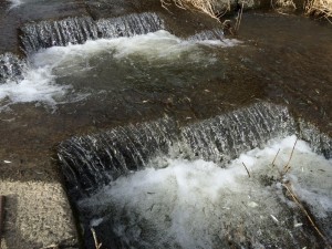 写真 25.2.2016, 14 17 28