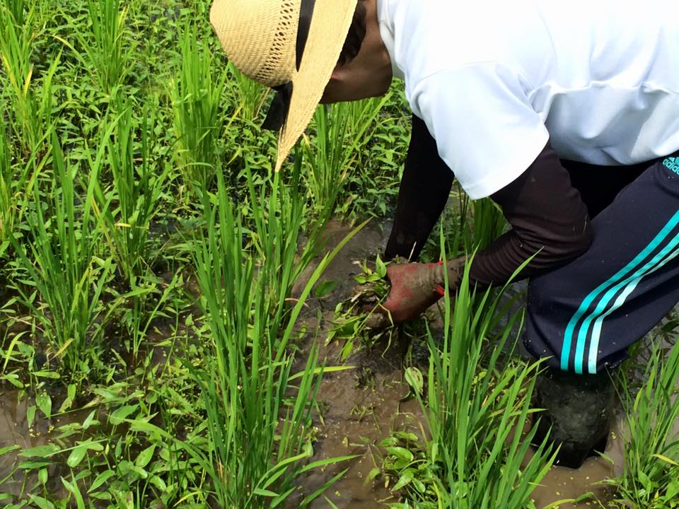 11027461_827291310719094_96992995992756756_n