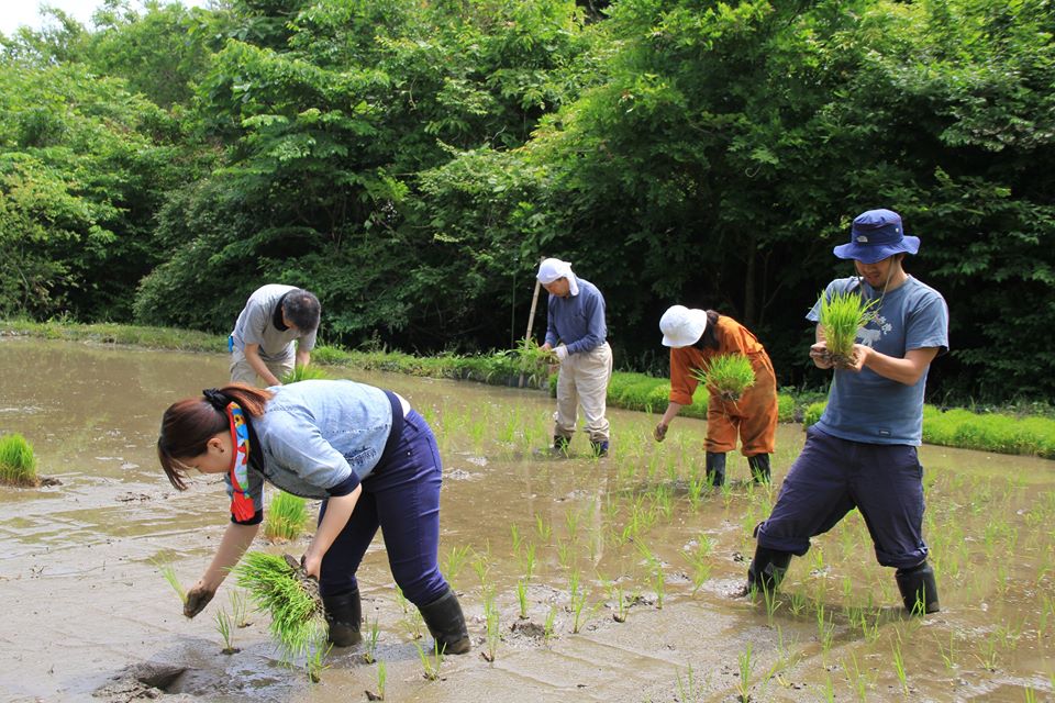 11350490_850580201703580_8074419861822091241_n