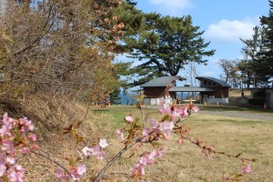 12903736_780905735373482_1085433117_o