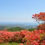 20160514 駅長おすすめJR小さな旅 (64)