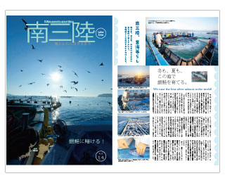 %e3%82%bf%e3%83%95%e3%82%99%e3%83%ad%e3%82%a4%e3%83%88%e3%82%99%e7%b4%9914