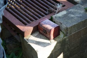 %e6%b5%b7%e3%81%ae%e3%83%92%e3%82%99%e3%82%b7%e3%82%99%e3%82%bf%e3%83%bc%e2%91%a3